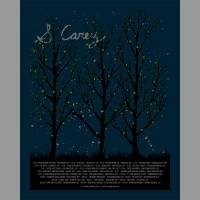 S. Carey: Spring Tour Poster, 2011 Forsman